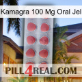 Kamagra 100 Mg Oral Jel 18